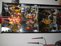 DSCN1254