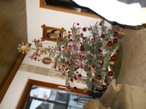 DSCN1260