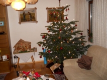 DSCN1263