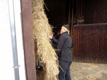 DSC01227