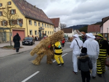Fasnetdienstag_2019_MB_07