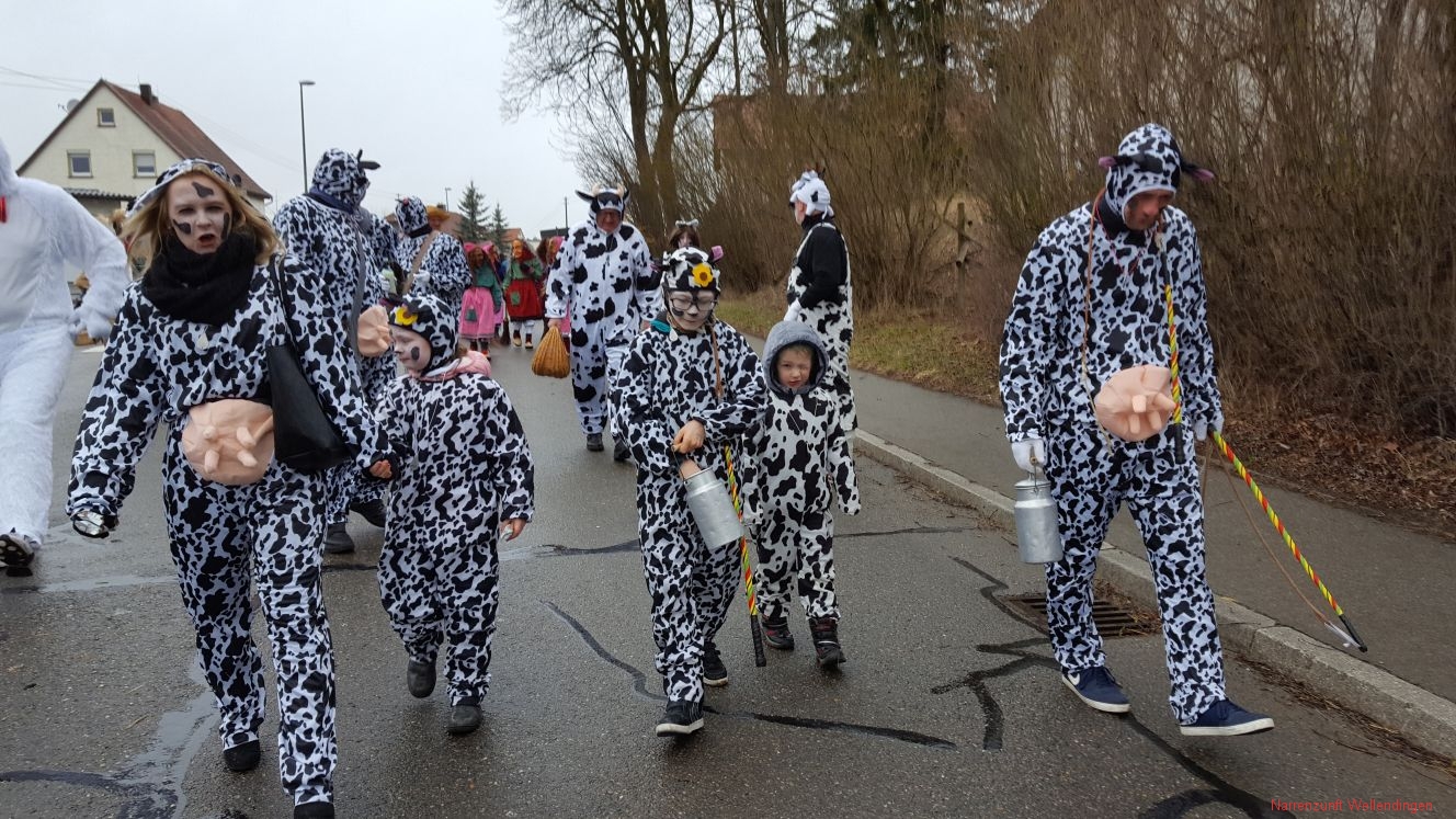 Fasnetsdienstag_SSB_2017_01