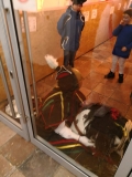 IMG-20180213-WA0058