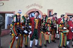 Fasnetsmontag_morgen_SSB_2017_68