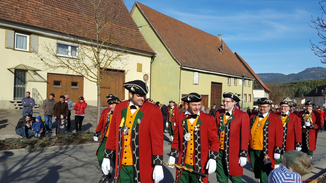 Fasnetsmontag_Nachmittag_SSB_2017_11