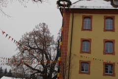 Narrenbaumstellen 2011