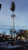 IMG-20170128-WA0000
