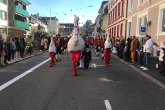 Narrentreffen Bad Säckingen 2019