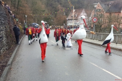 Narrentreffen Haigerloch 2017
