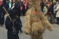 Narrentreffen Kiebingen 2018