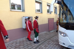 Narrentreffen Sachsenheim 2015