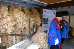 Strohbaerentag_2019_BH_125