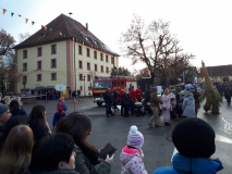 Struhbaerentag_2019_NZ_09