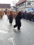 Struhbaerentag_2019_NZ_18