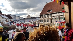 Struhbaerentag_2019_NZ_32